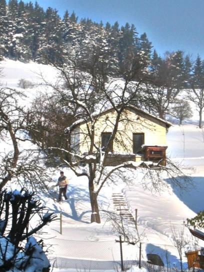 Hotel-Gasthaus Steiger Grafenthal Bagian luar foto